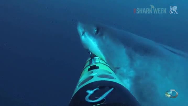 dron,submarino,ataque,tiburón,miedo máximo