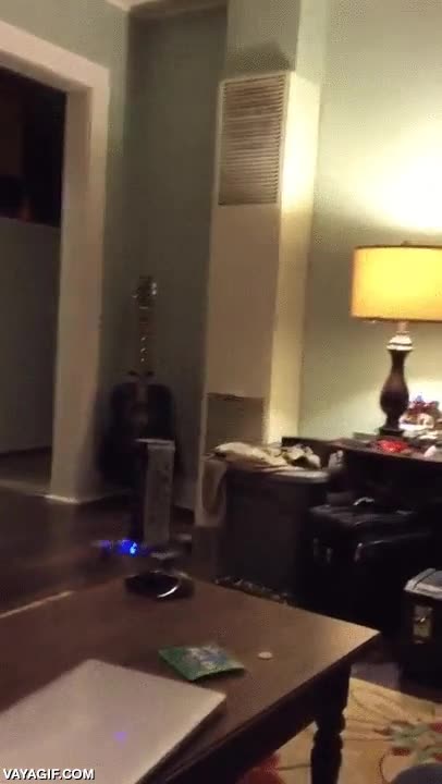 dron,cerveza,mejor amigo