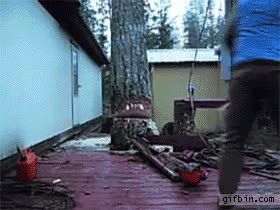 Trabajo,bien hecho,ganador,arbol,cortar