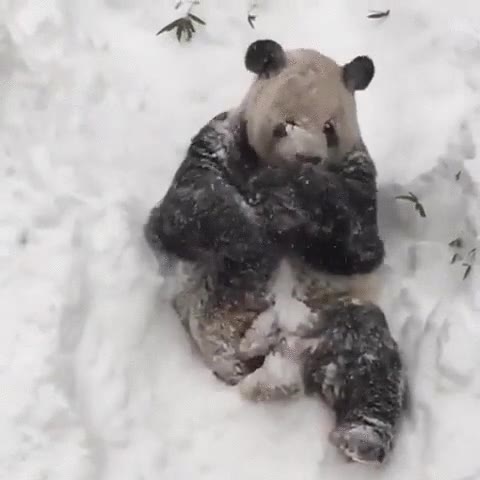 despertar,antes,despertador,nieve,sue&ntilde;o