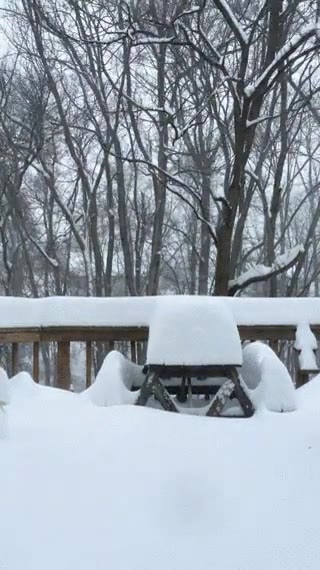 timeplapse,nieve,nevada,estados unidos