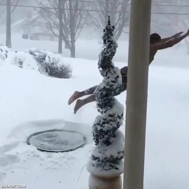 piscina,trampol&iacute;n,practicar,nieve