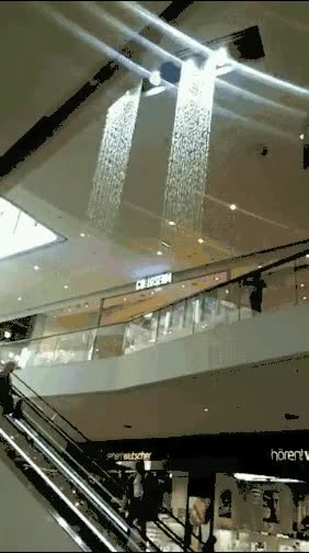 arte,talento,ballet,alguien va a ser despedido