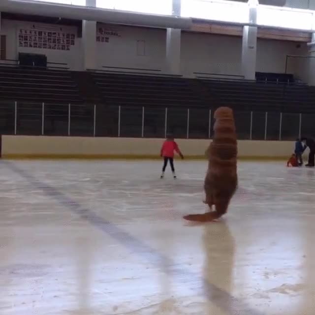 patinaje,dinosaurio,responsable,hielo