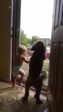 buenos tiempos,peque&ntilde;o,sensaci&oacute;n,ni&ntilde;o,perro,llegar,casa