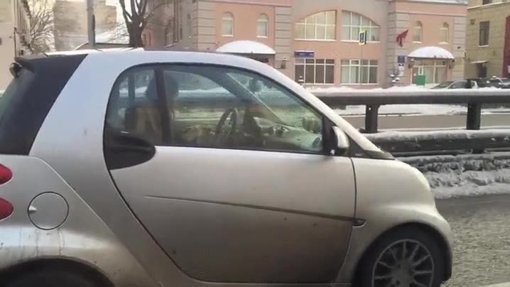 conductor,est&uacute;pido,coche,smart,imprudente