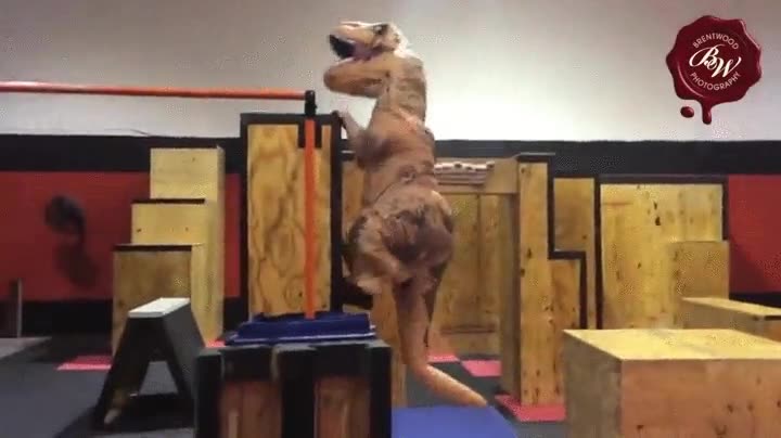 jurassic park,jurassic parkour,dinosaurio,habilidad,saltos