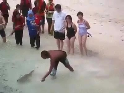 alguien,dedos,comida,tibur&oacute;n