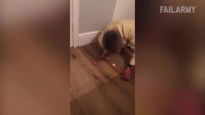 partir,huevo,cabeza,pie,ca&iacute;da,fail