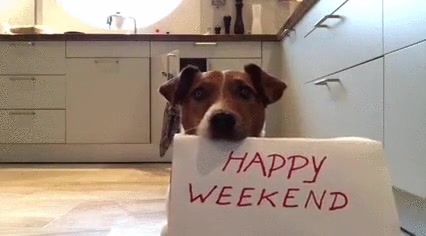 mejor manera,empezar,fin de semana,perro,cartel