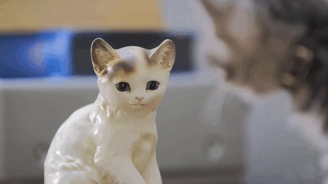 triste,figura,rota,amor,odio,gato,sab&iacute;a que pasar&iacute;a