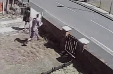 guay,lucirse,chica,besar,acera