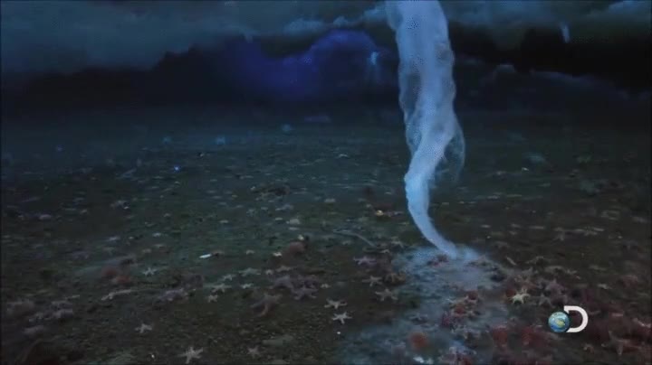 brinicle,estalactita,dedo de la muerte,congela,artico