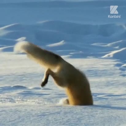 Enlace a Alguien debería investigar este comportamiento. Igual es el secreto para ser feliz