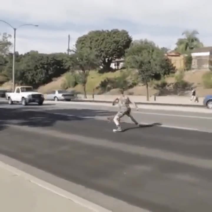 gato,salto,autopista,carro,riesgo,parkour,rescate,salvar,vida,humano,auto