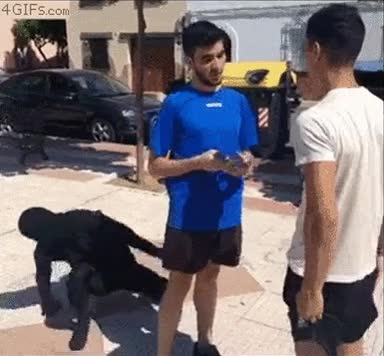 sombra,amigos,broma,colegas,robar,fiar,ninja,chorizo