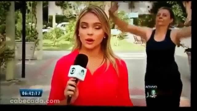 Enlace a Nueva prueba de la existencia de las mujeres pájaro