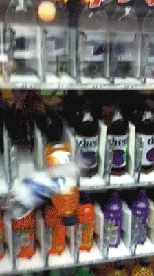 mejor jugada,car&aacute;mbola,m&aacute;quina,vending