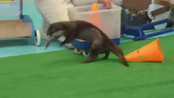 hijo,20 euros,recoges,habitaci&oacute;n