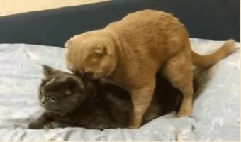 mezclar,internet,realidad virtual,locura