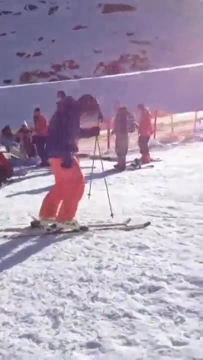 conductor,autobus,cabrear,mucho