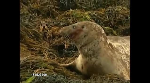 examen,susto,estudiar