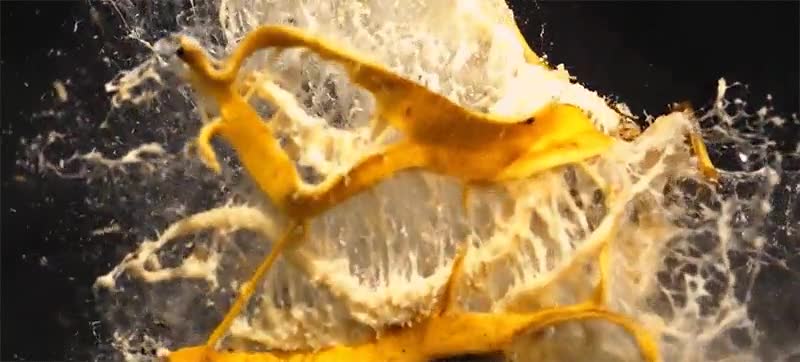 platano,disparo,c&aacute;mara lenta