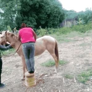 montar,caballo,c&aacute;ido,fail