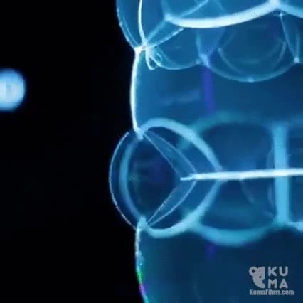 mago,burbujas,asians,incre&iacute;ble