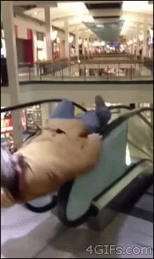 c&aacute;ida,fail,escalera mec&aacute;nica,tortazo