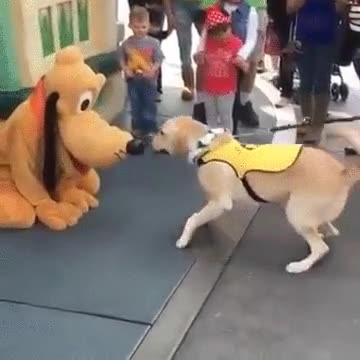 Enlace a Este perro guía se emociona al conocer a Pluto