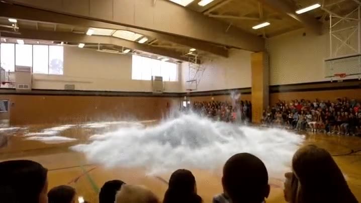 atenci&oacute;n,ni&ntilde;os,ballena,realidad aumentad