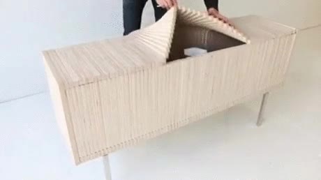 magia,estanteria,locura