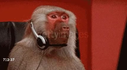 internet,no funciona,desesperación,silla