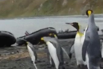 cuerda,peor enemigo,saltito,fail