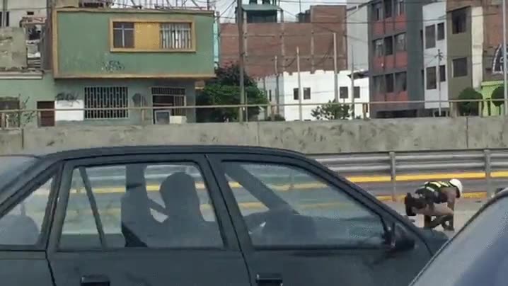 polic&iacute;a,tr&aacute;fico,rescate,gato,salvar,fe,humanidad