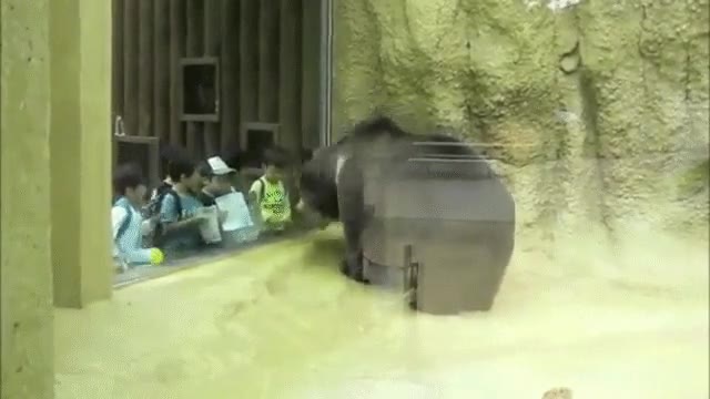 juntar,oso,niño,saludo,reverencia,party hard