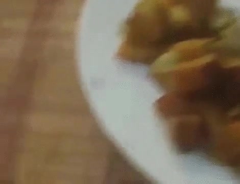 perro,comida,ayuda,help,mesa