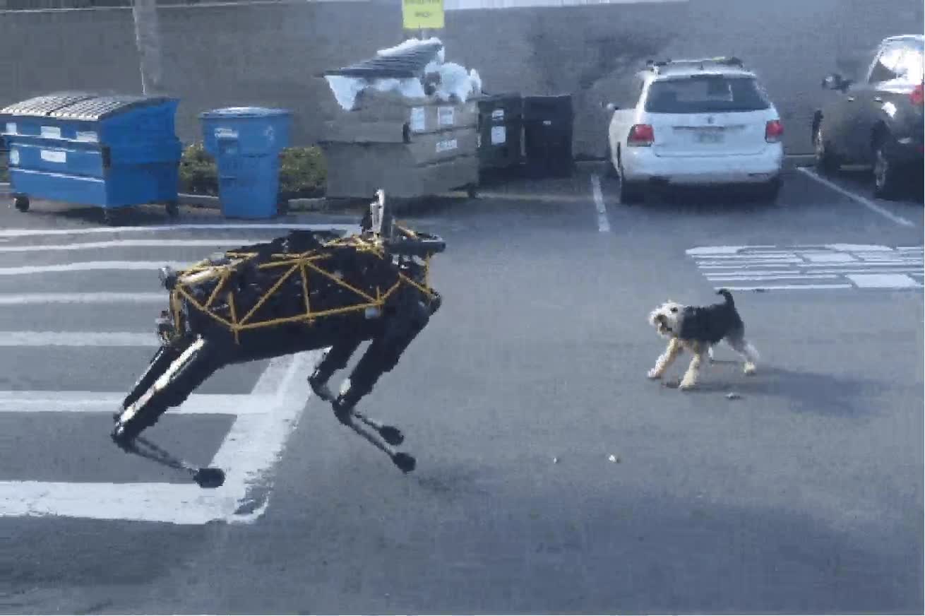 mejor amigo,perro,robot,toby,bater&iacute;a