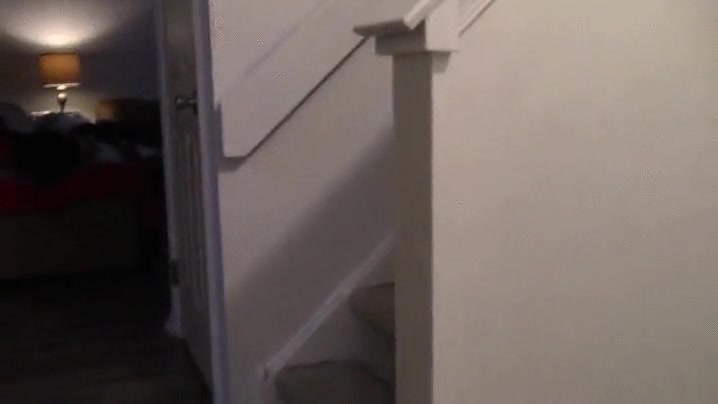 nada que hacer,dios,gatos,ventana