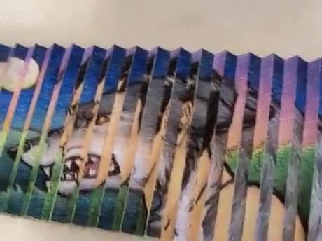 ilusión óptica,hombre lobo,dibujo