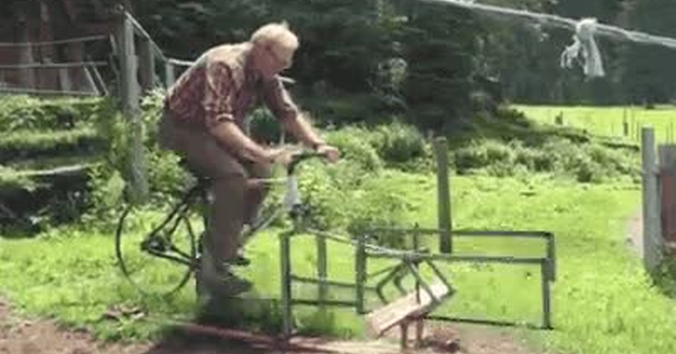 ¡Vaya GIF! / La forma más saludable de cortar madera