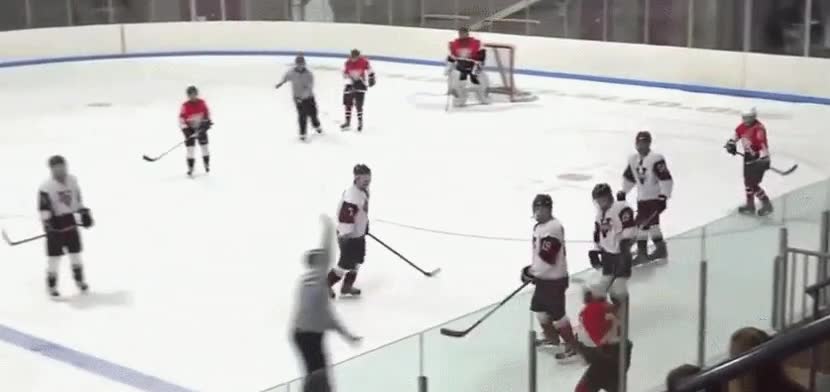 arte,esquivar,&uacute;ltimo segundo,hockey