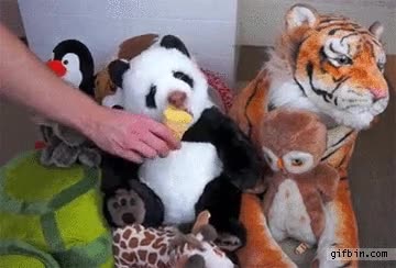 peluche,panda,cobrar vida