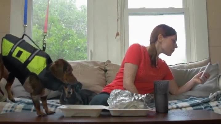 misi&oacute;n imposible,tom cruise,perro,protagonista