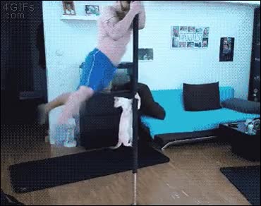 gato,barra,imitar,giro,due&ntilde;os