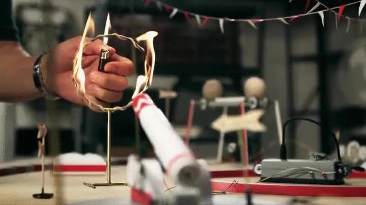 todos ustedes,escarabajo,estrella,circo