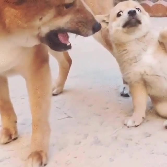 forma,rápida,escapar,pelea