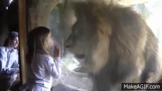 ni&ntilde;a,le&oacute;n,tama&ntilde;o,cabeza,cristal