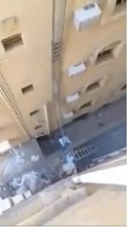 atrever,subir,escalera,edificio